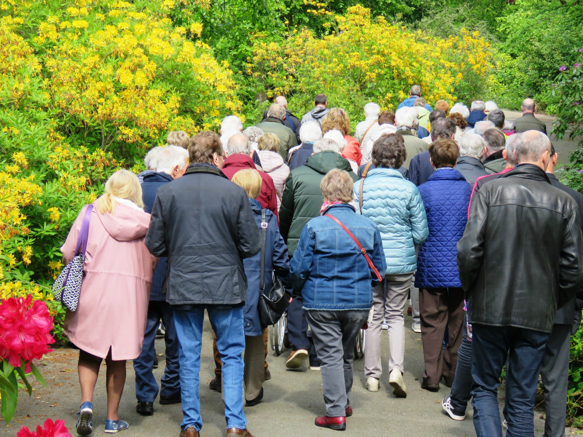 De beeweg in een prachtig onderhouden tuin