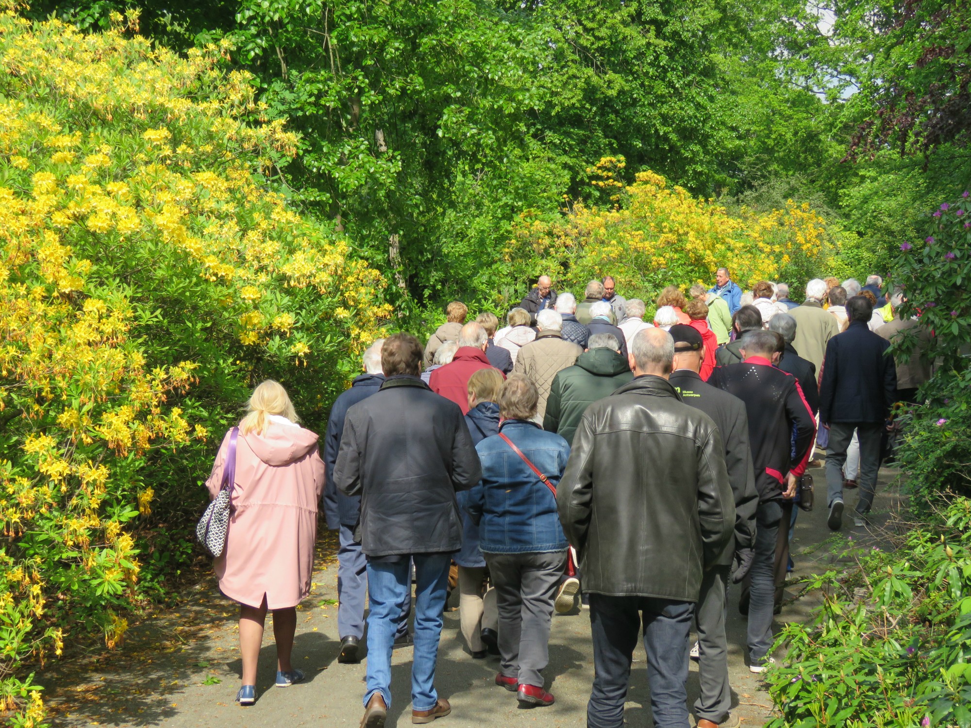 De beeweg in een prachtig onderhouden tuin