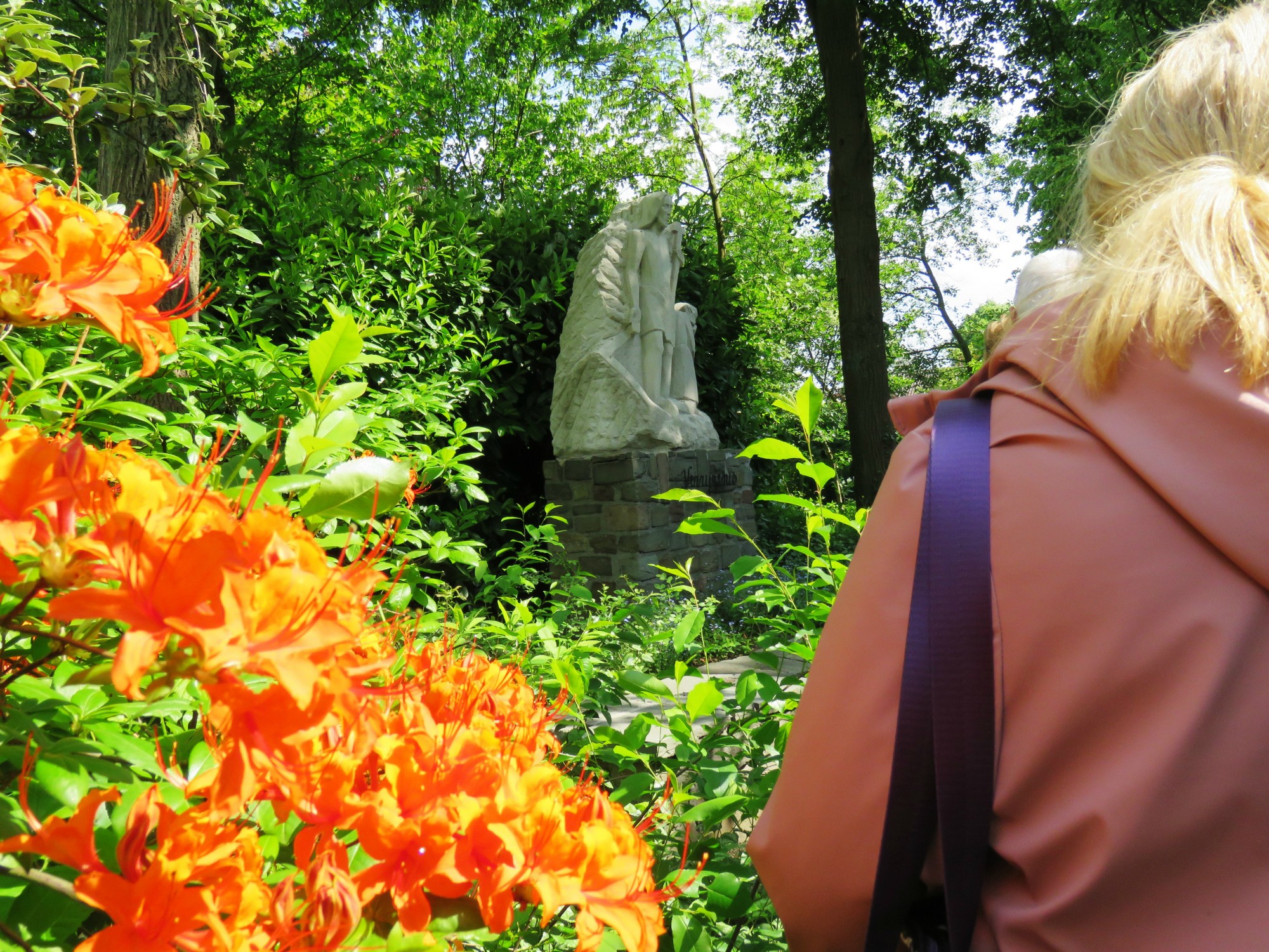 Een beeweg in een prachtige natuur